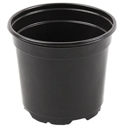 Grower Select 04.33W Coex Standard Round Pot Black
