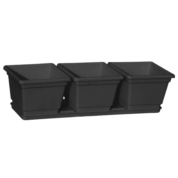 Grower Select 04.50 Randi-Lynn #2 3 Pack w/ Tray Black (Case of 108)