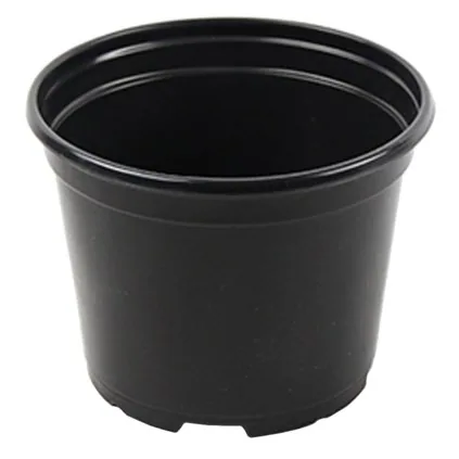 Grower Select 06.00 Coex Azalea Round Pot Black