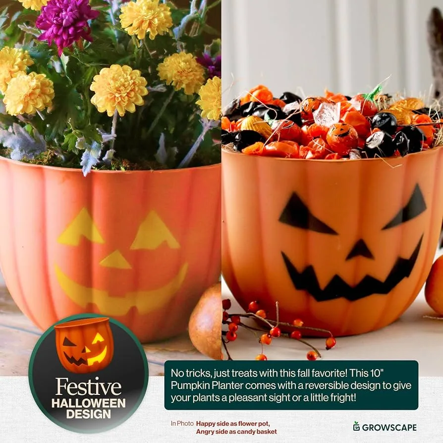 Grower Select 09.00 Little Harv Pumpkin Cover Pot With Face — Case of 90 - Image 2