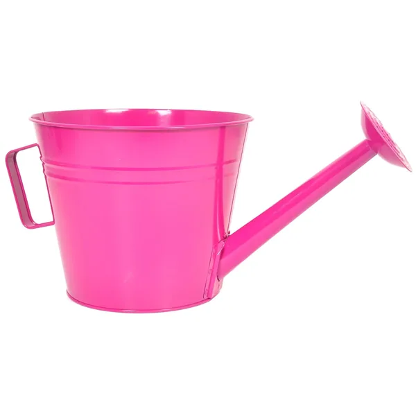 Grower Select 10.00 Watering Can Planter Fuchsia — Case of 12