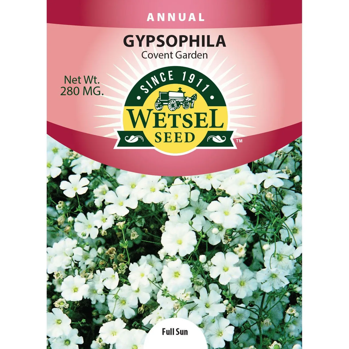 Gypsophila, Covent Garden 280mg - Image 2