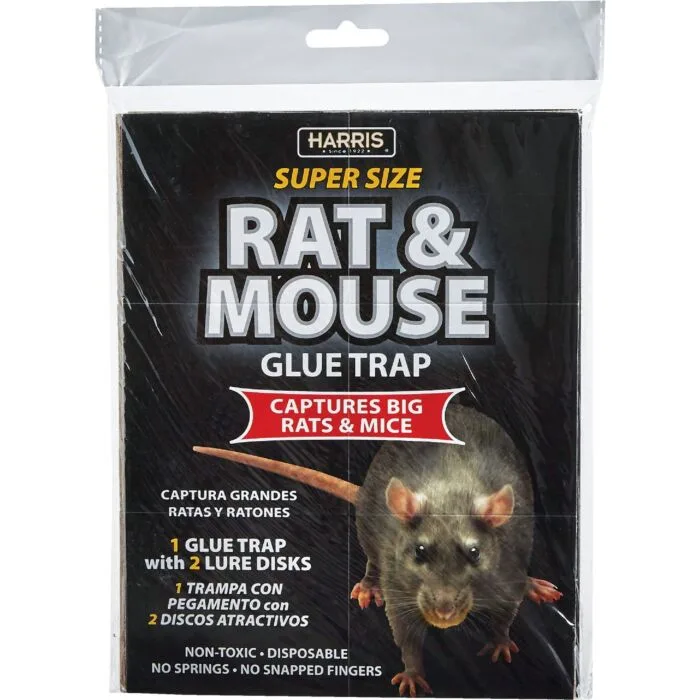 Harris 1pk Black Rat Glue Board - Image 2