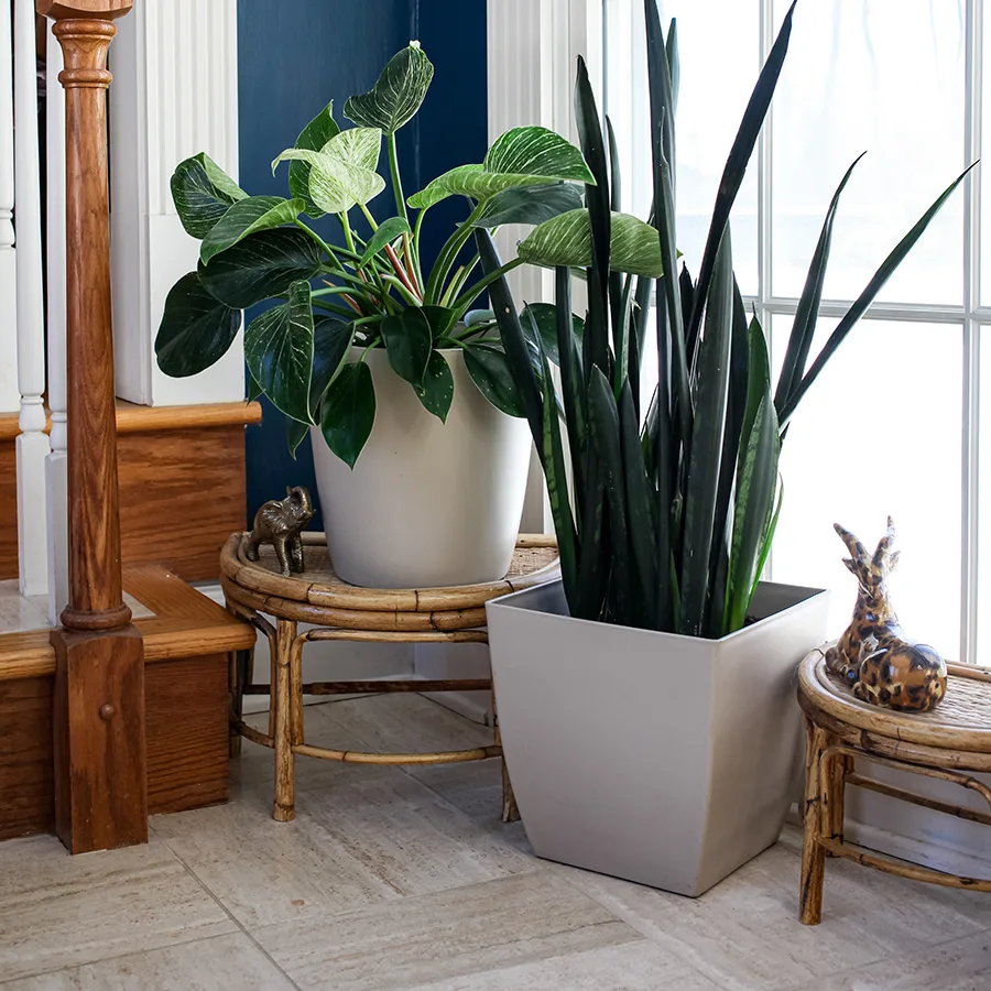 HC 12" Aria Square Planter Iced Mocha - Image 2