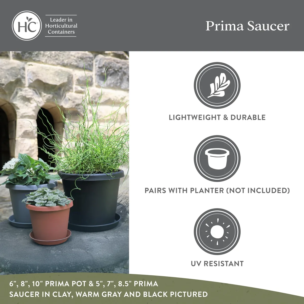 HC 14" Classic Prima Saucer Evergreen - Image 2