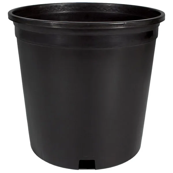 HC #2 2 Gallon Nursery Container Black 50 per Bundle