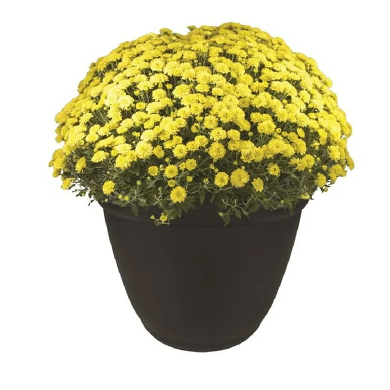 HC 22" Mojave Planter No Disk Chocolate Akro Mils - Image 2