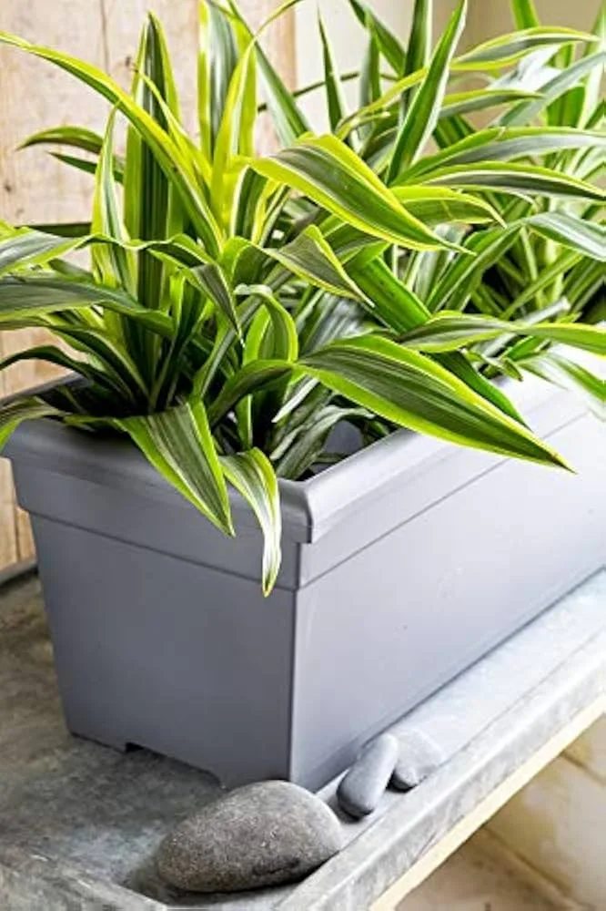HC 28" Romana Deck Planter Chocolate Akro Mils - Image 2