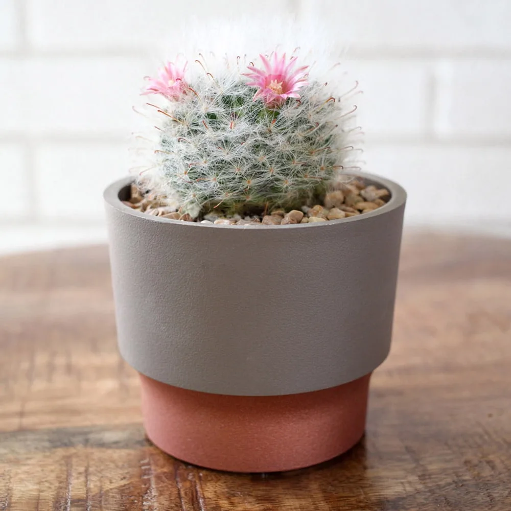 HC 3" Sprite Succulent Planter Artisan Taupe - Image 2