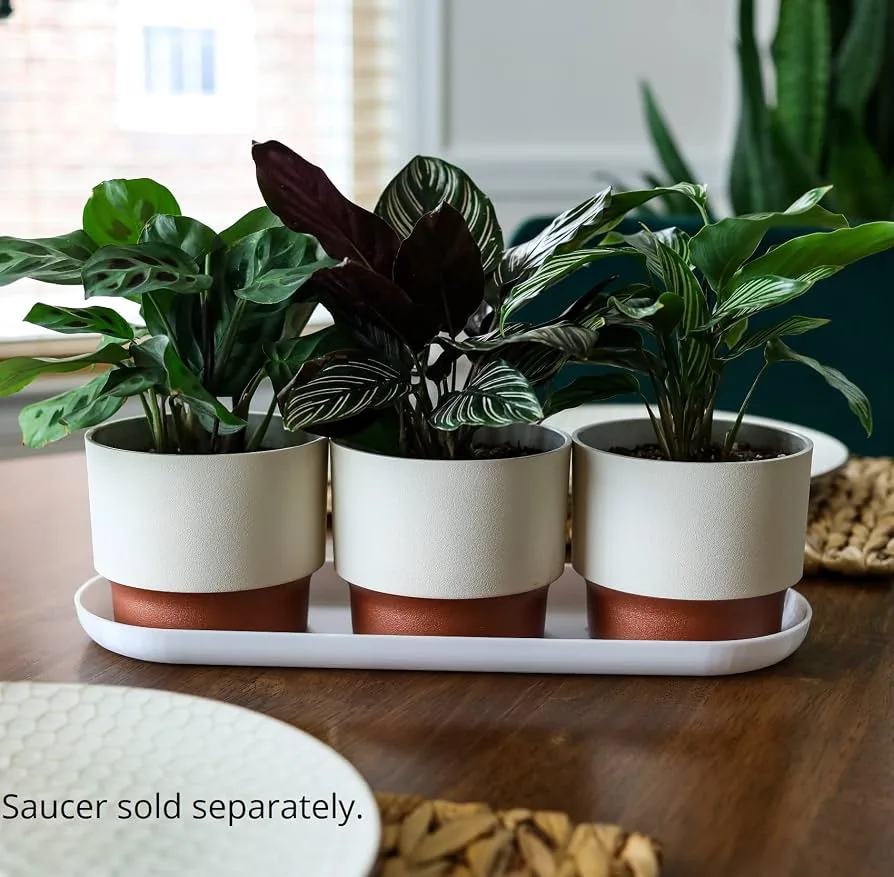 HC 3" Sprite Succulent Planter Vanilla Bisque - Image 2