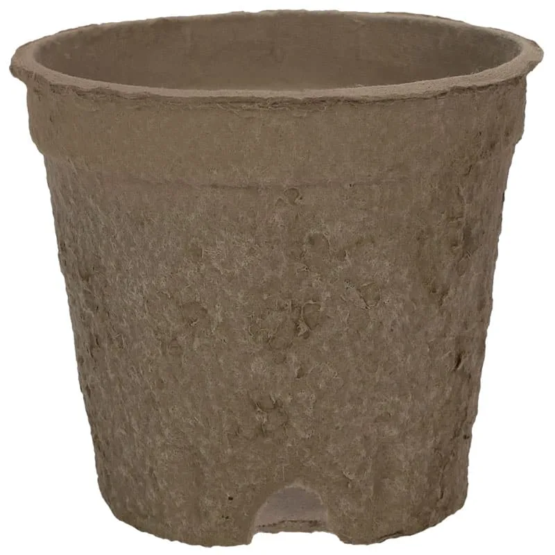 HC 6" EcoGrow Nursery Pot - Image 2