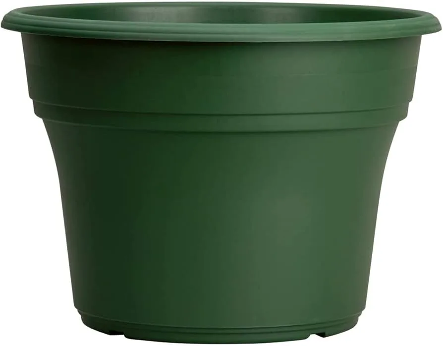 HC 8" Panterra Planter Clay - Image 2