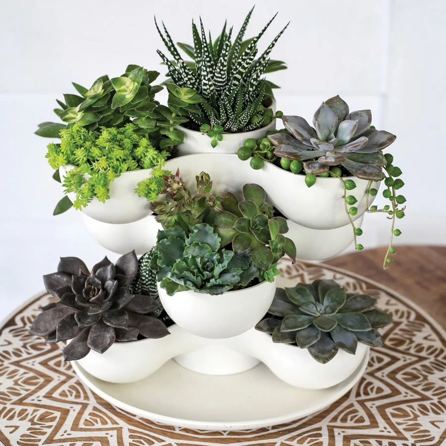 HC 8" Pixie Succulent Stacking Planter Artisan Taupe - Image 2