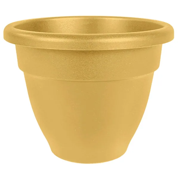 HC Caribbean Planter Honey