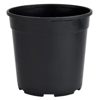 HC Companies DLN 01.00QT PEREN POT T/W TL BLK (Case of 475)