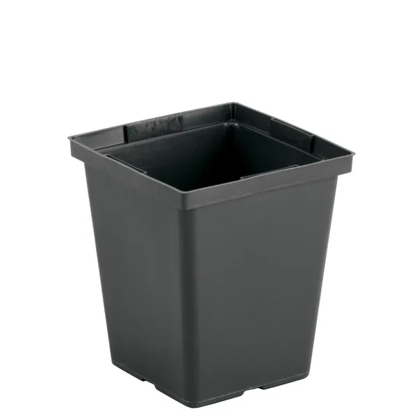 HC Companies DLN 04.50 SQ DEEP PEREN T/W TL BLK (Case of 441)