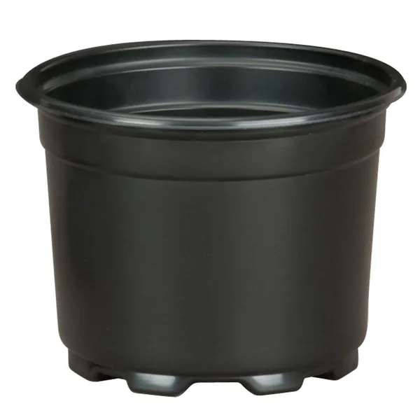 HC Companies DLN 05.00 AZ SHORT COEX BLK/BLK (Case of 675)