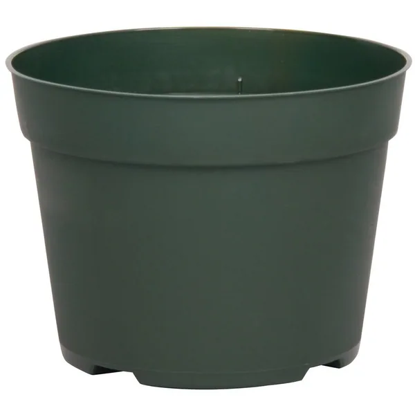 HC Companies DLN 06.50 RND AZ TRAD T/W 300GN (Case of 240)
