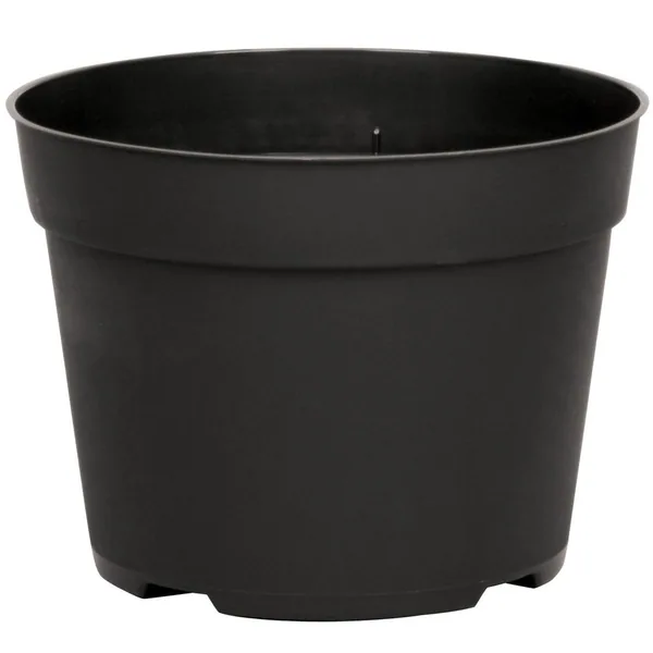 HC Companies DLN 06.50 RND AZ TRAD T/W BLK (Case of 240)