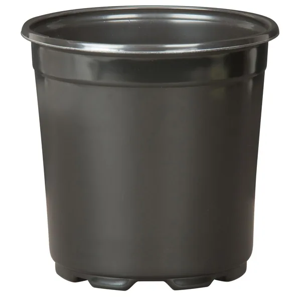 HC Companies DLN 17.00 CM EURO POT COEX TALL BLK (Case of 294)