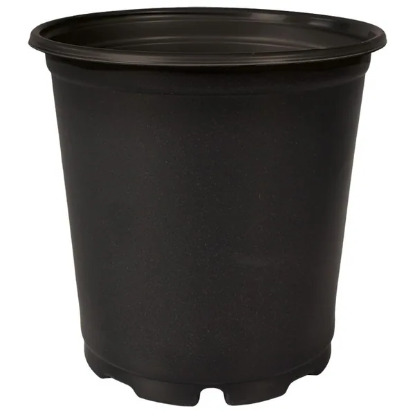 HC Companies DLN TRADE 01.00GL SQUAT TL PRP COEX BLACK — Case of 140