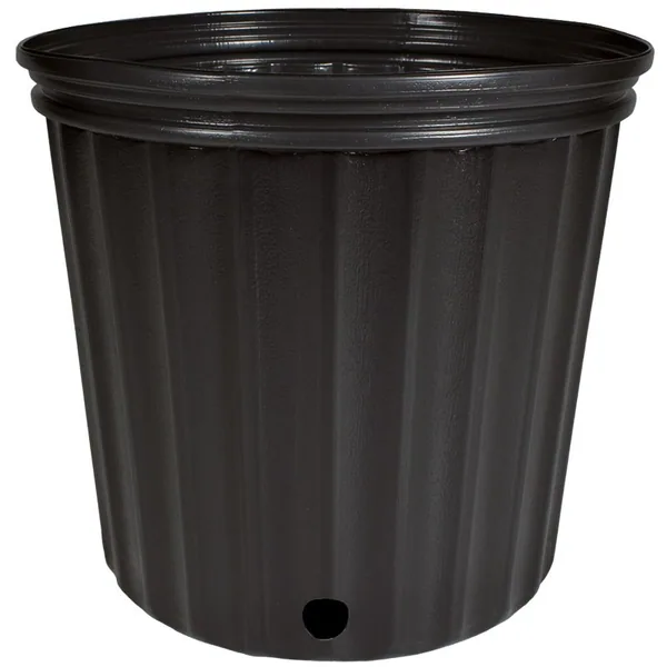 HC Dillen 3G 1000 Reg Nursery Pot BK, Blow Molded, Trade 3 Gallon, Black, 2.33Gal, 3Gallon