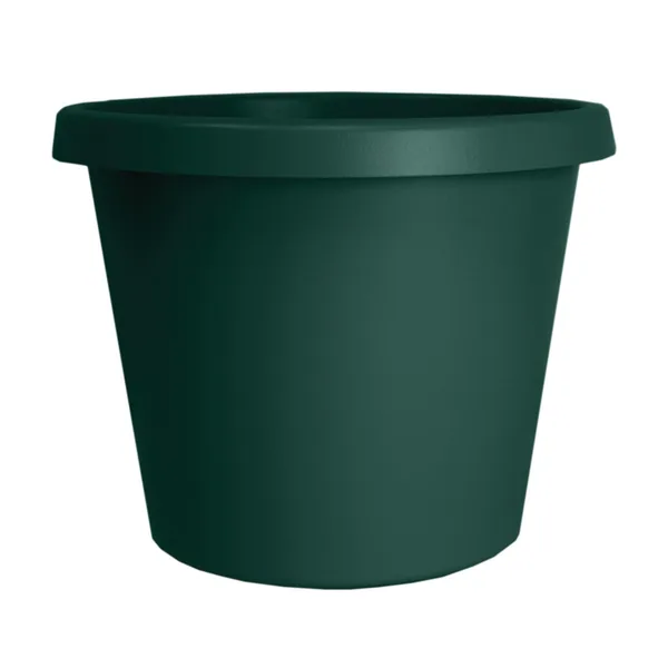 HC Prima Planter Evergreen
