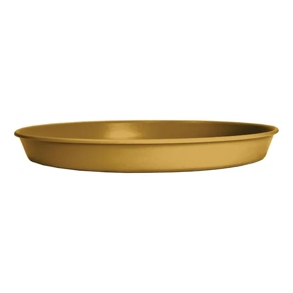 HC Prima Saucer in Honey
