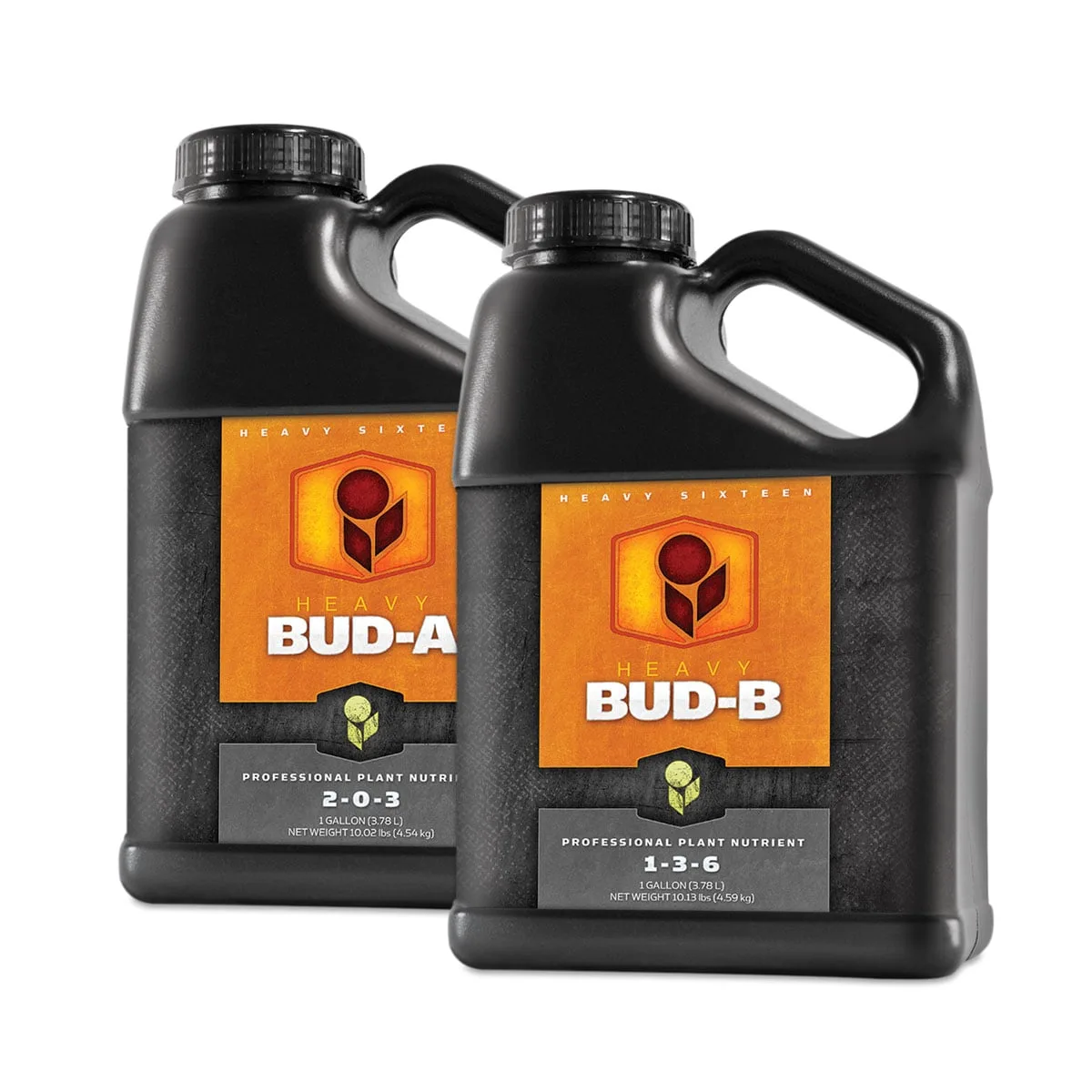 HEAVY 16 Bud A, 1 gal - Image 2