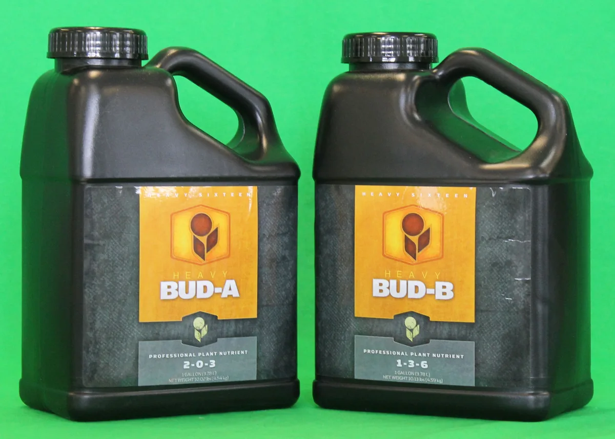 HEAVY 16 Bud B, 1 gal - Image 2