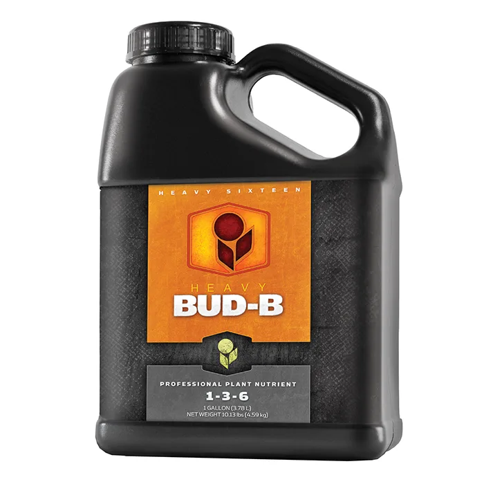 HEAVY 16 Bud B - Image 2