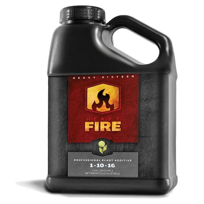 HEAVY 16 Fire, 1 gal - Image 2