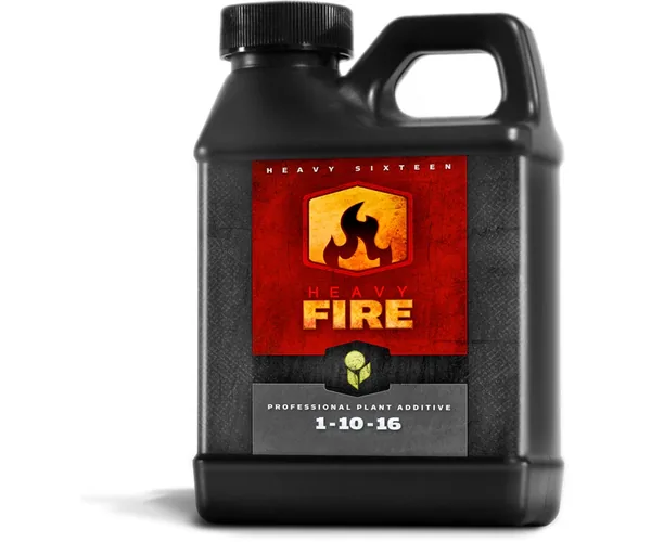 HEAVY 16 Fire