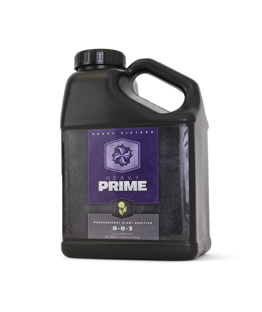 HEAVY 16 Prime, 1 gal - Image 2