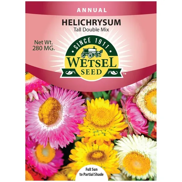 Helichrysum, Tall Double Mix 280mg - Image 2