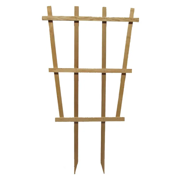 Heritage Wood 20"x14"x3' Double Stake Espalier