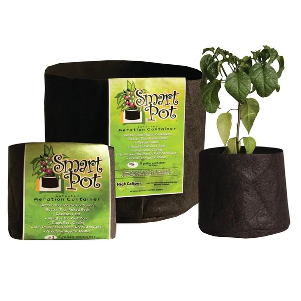 High Caliper Growing Smart Pot Black Bulk Box