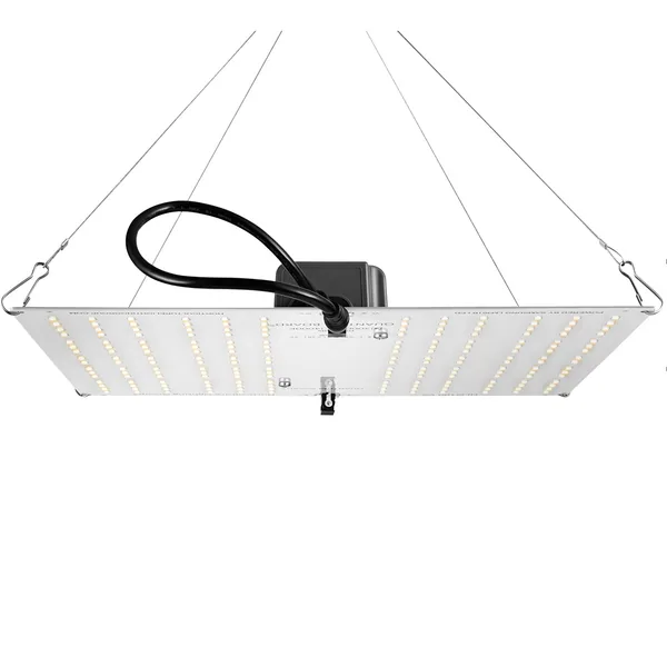 HLG 100 V2