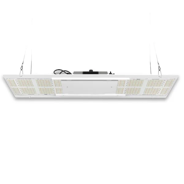Refurbished HLG 350R Diablo LED Grow Light