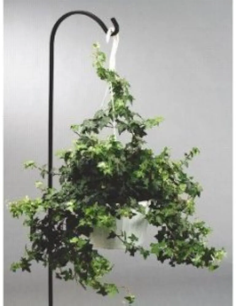 Hookery 48" Mini Shepherd Hook - Image 2