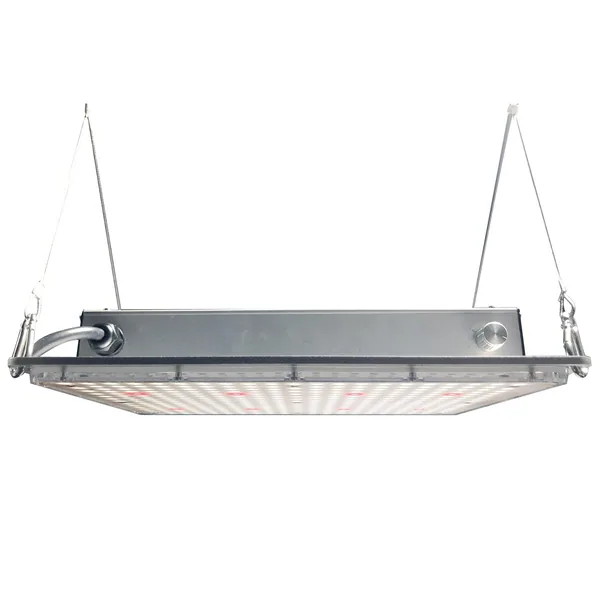 Hort 2o 100W LED Grow Light
