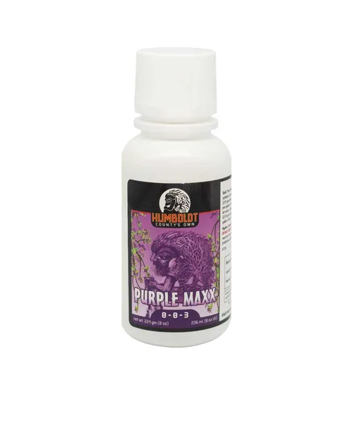 Humboldt County's Own Purple Maxx