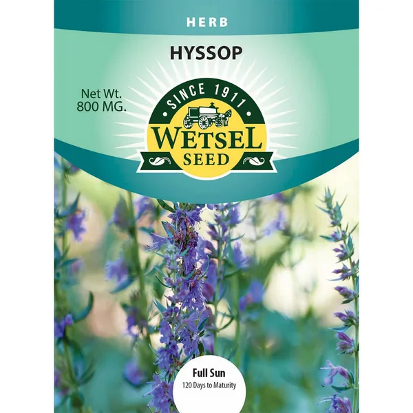 Hyssop 800mg