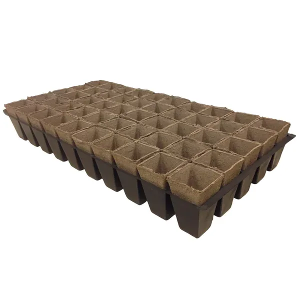Jiffy 220 2x3 PRELOADED (Case of 2000) - Image 2