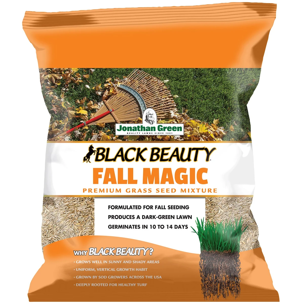 Jonathan Green Black Beauty Fall Magic Grass Seed Mix