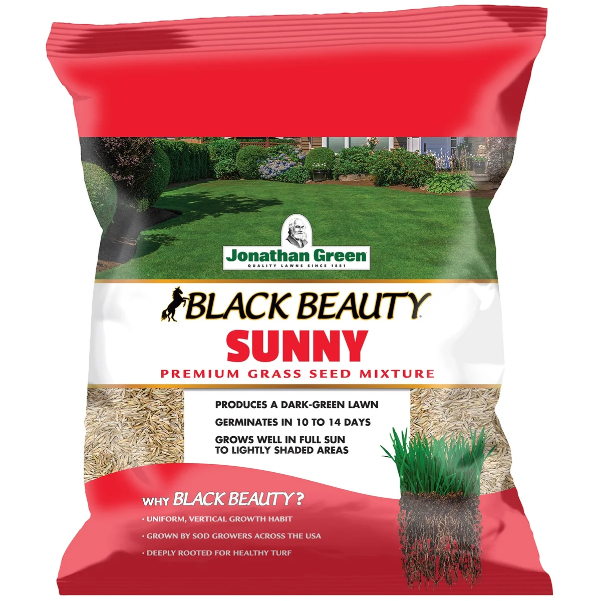 Jonathan Green Black Beauty Sunny Grass Seed Mixture