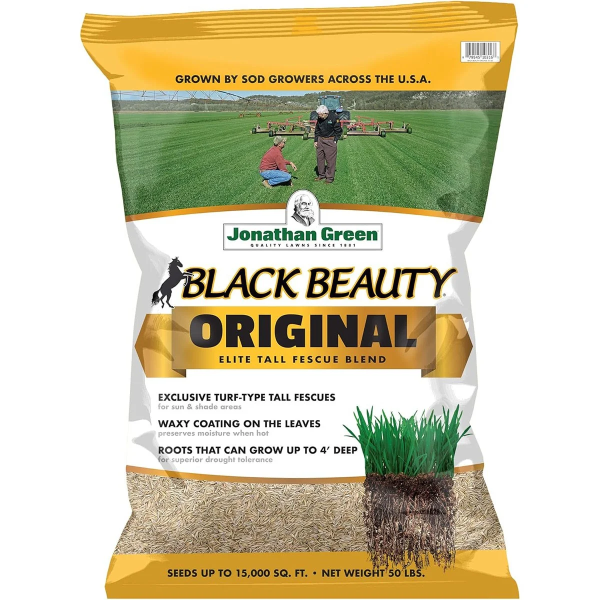Jonathan Green Black Beauty Tall Fescue Blend