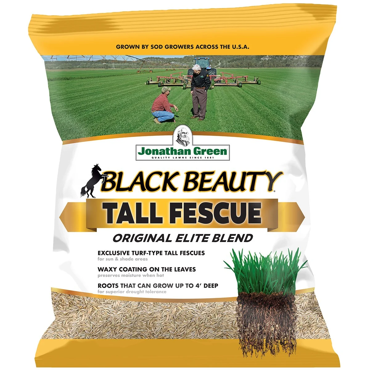 Jonathan Green Black Beauty Tall Fescue Grass Seed Mix