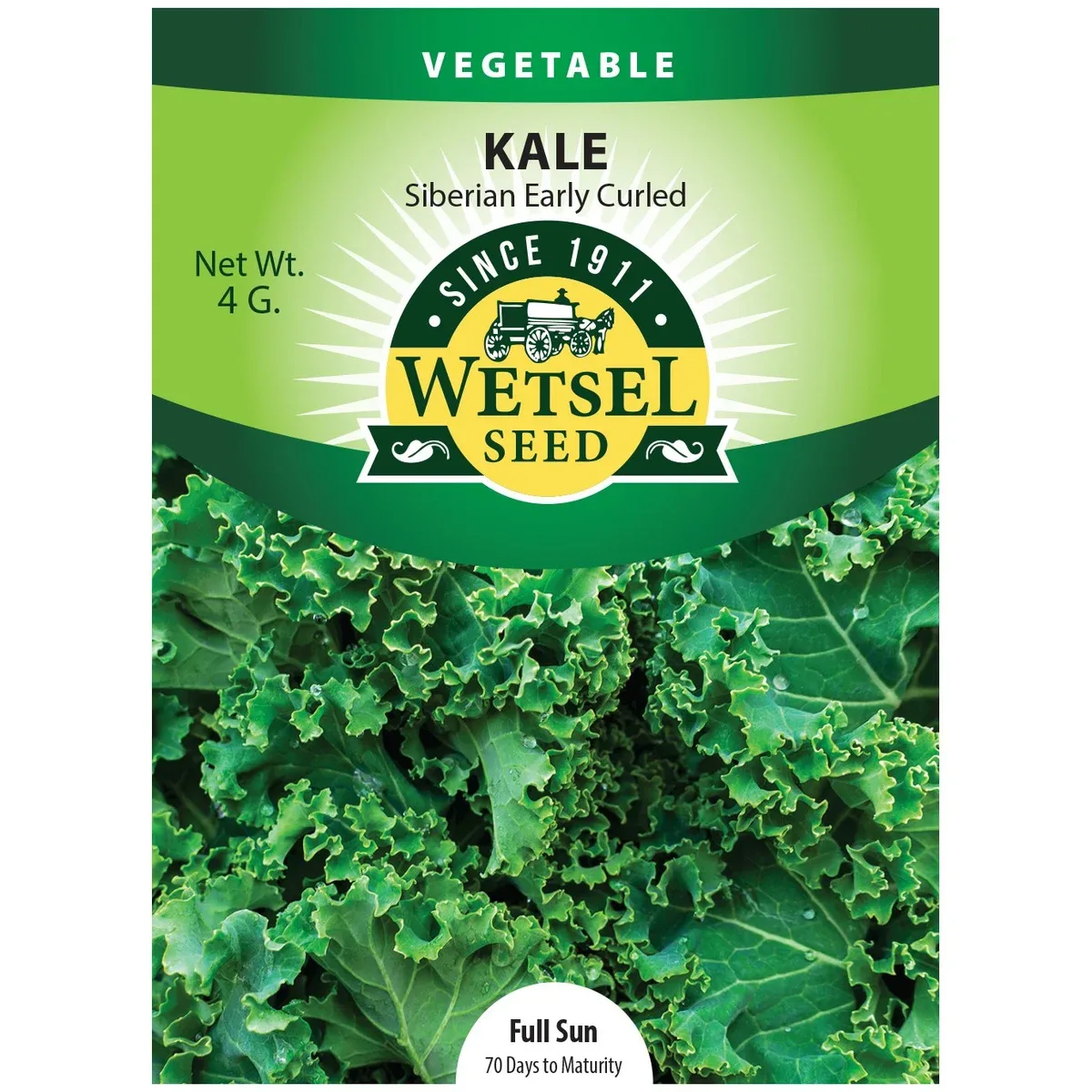 Kale, Early Curled Siberian 1/2oz - Image 2