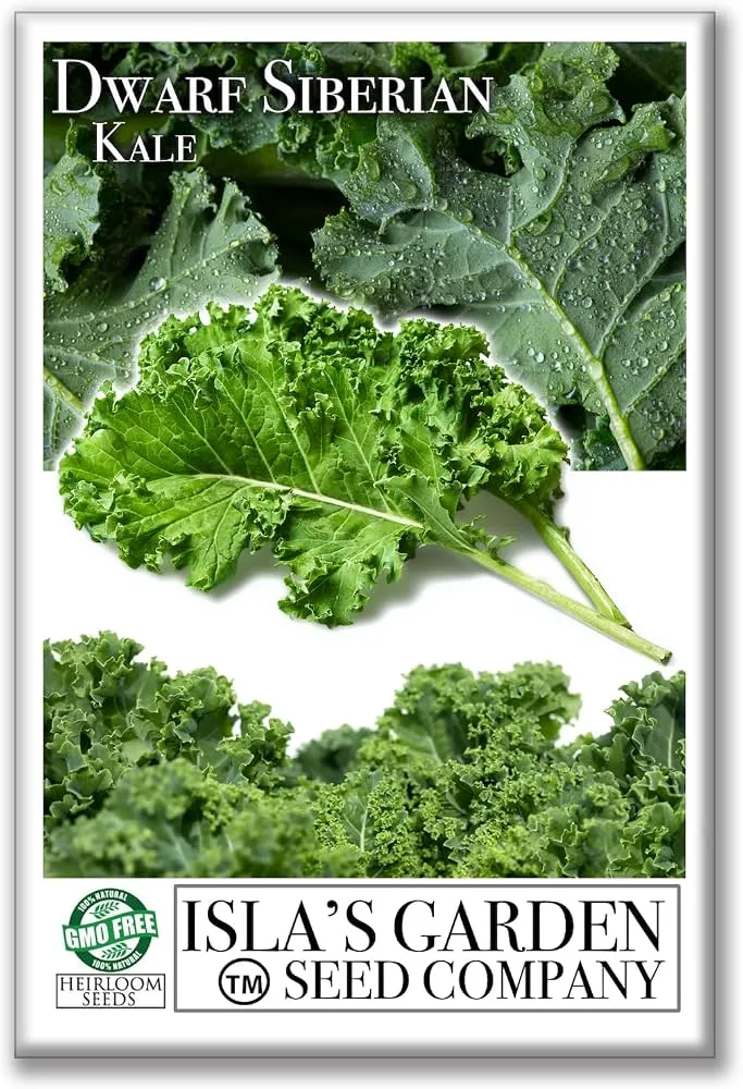 Kale, Heirloom Early Siberian 4 Grams - Image 2